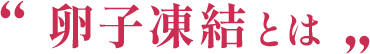 卵子凍結とは