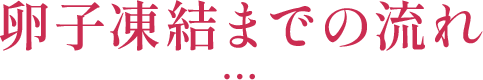 卵子凍結までの流れ