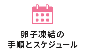 卵子凍結の 手順とスケジュール